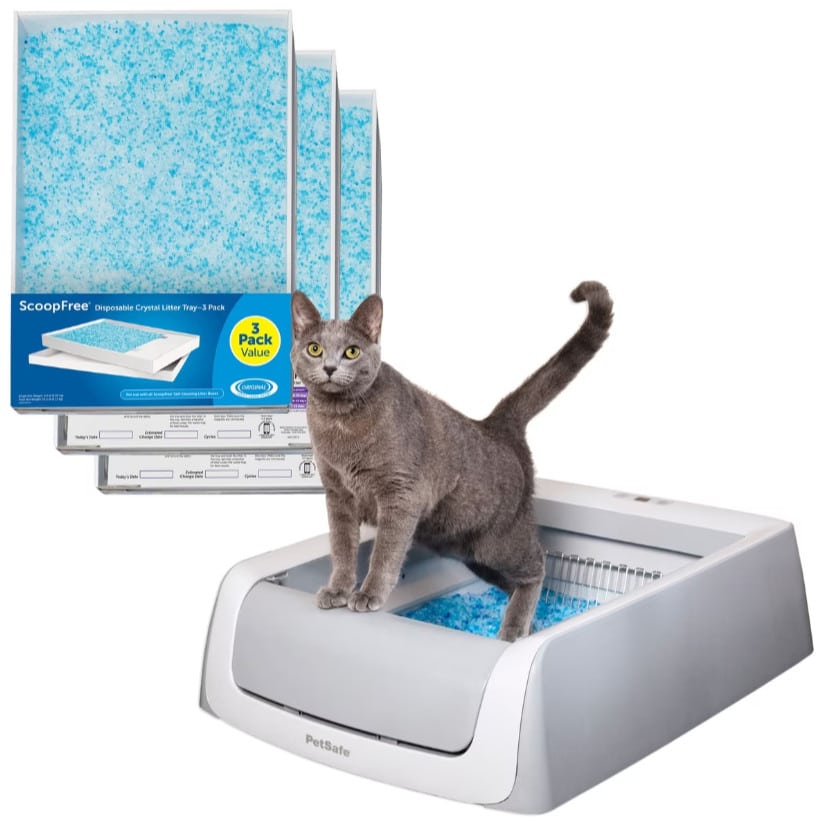 pet safe self cleaning litter box