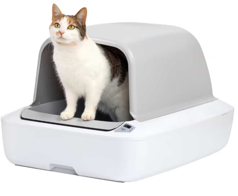 scoop free self cleaning litter box