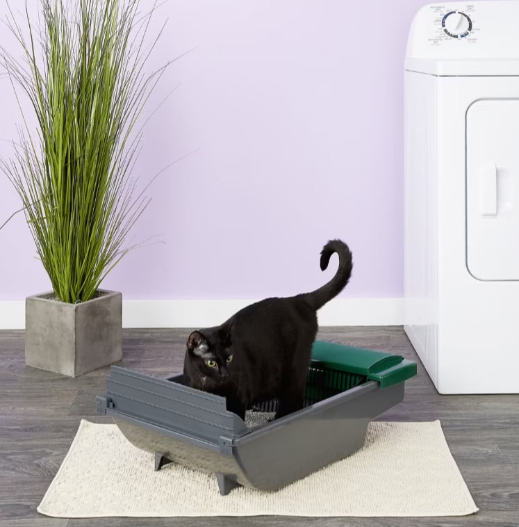self cleaning litter box
