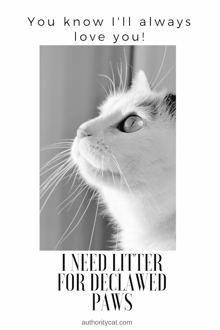 What To Use For Litter After Declaw at Robert Orellana blog