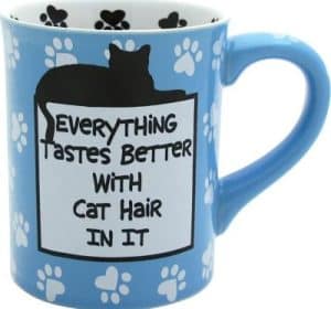 black cat blue cup