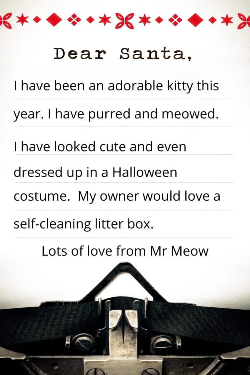 How To Make A Litter Box Non Stick