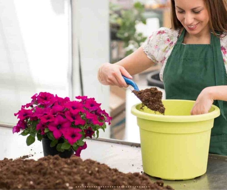 21 Uses For Cat Litter Around The Home