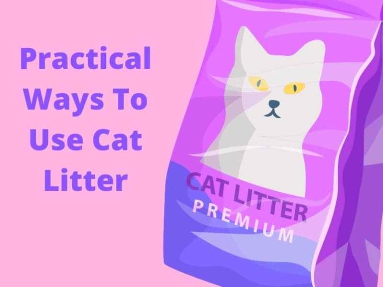 21 Unexpected Uses For Cat Litter Around The Home