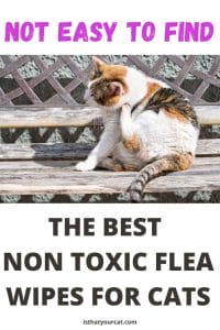 Image showcasing The Best Non Toxic Flea Wipes For Cats