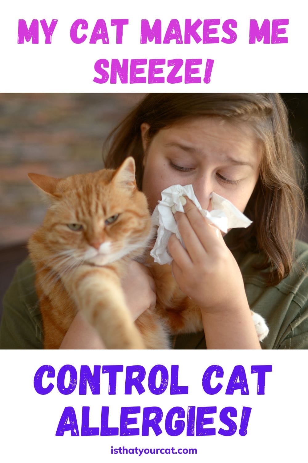 How To Control Cat Allergies! Please Give Me Some Ideas