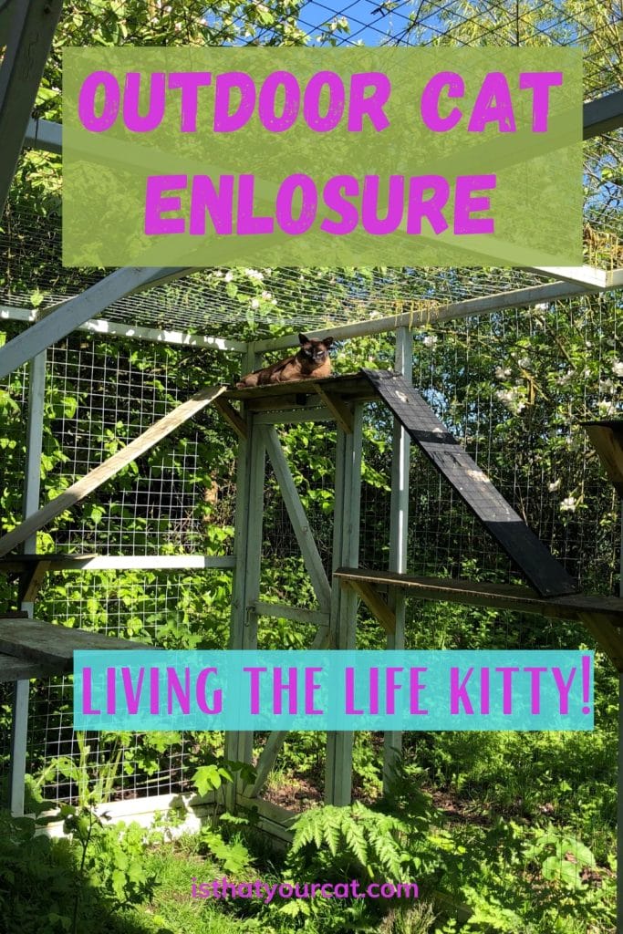 How To Keep My Cats In My Yard Workable Ideas