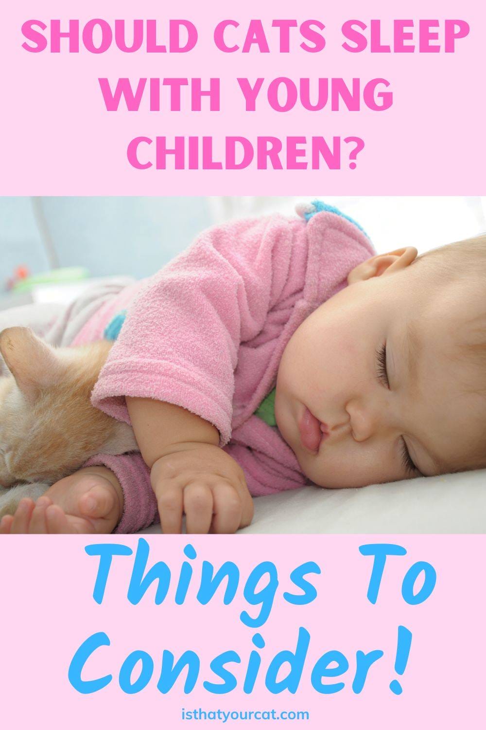 Why Cats Should Not Sleep With Young Children! Use Caution!