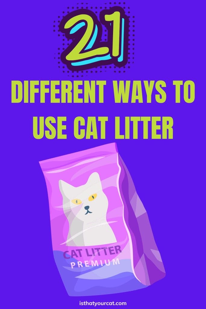 21 Uses For Cat Litter Around The Home