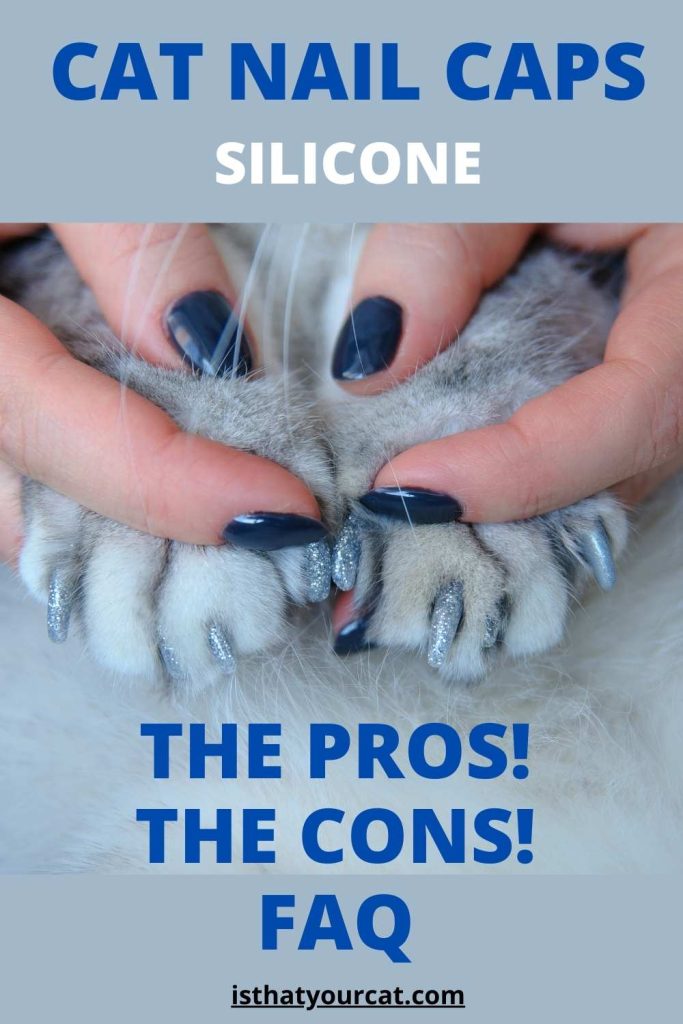 Popular Cat Nail Caps Pros And Cons How To Assess The Facts!