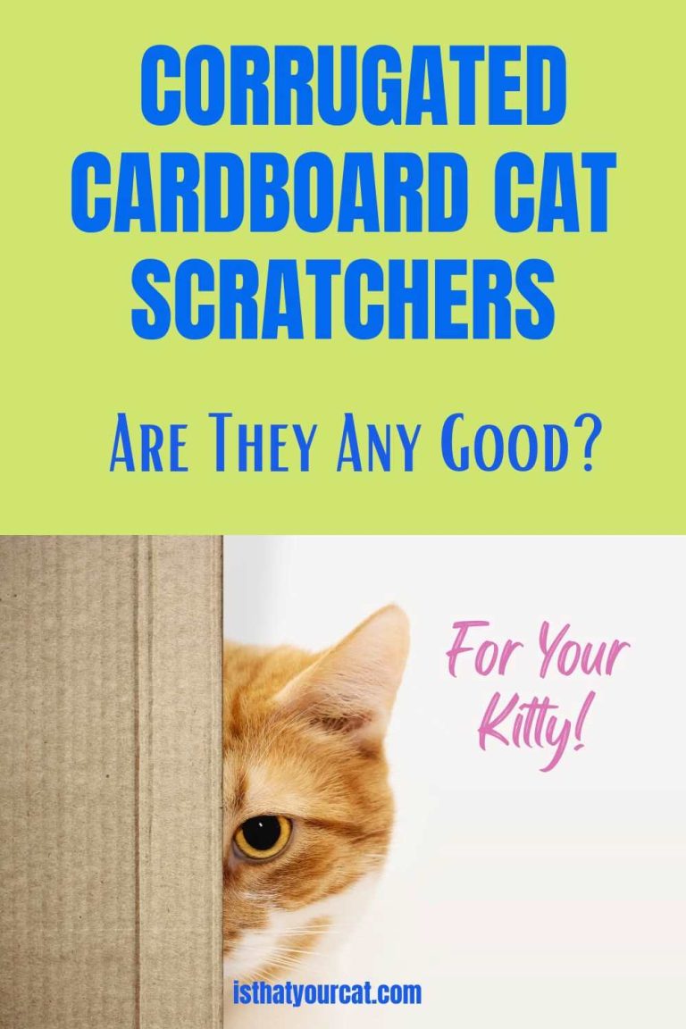 Are Cardboard Cat Scratchers Good? Do They Work?