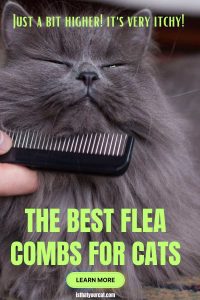 Image showcasing What Are The Best Flea Combs For Cats? Easy To Use?