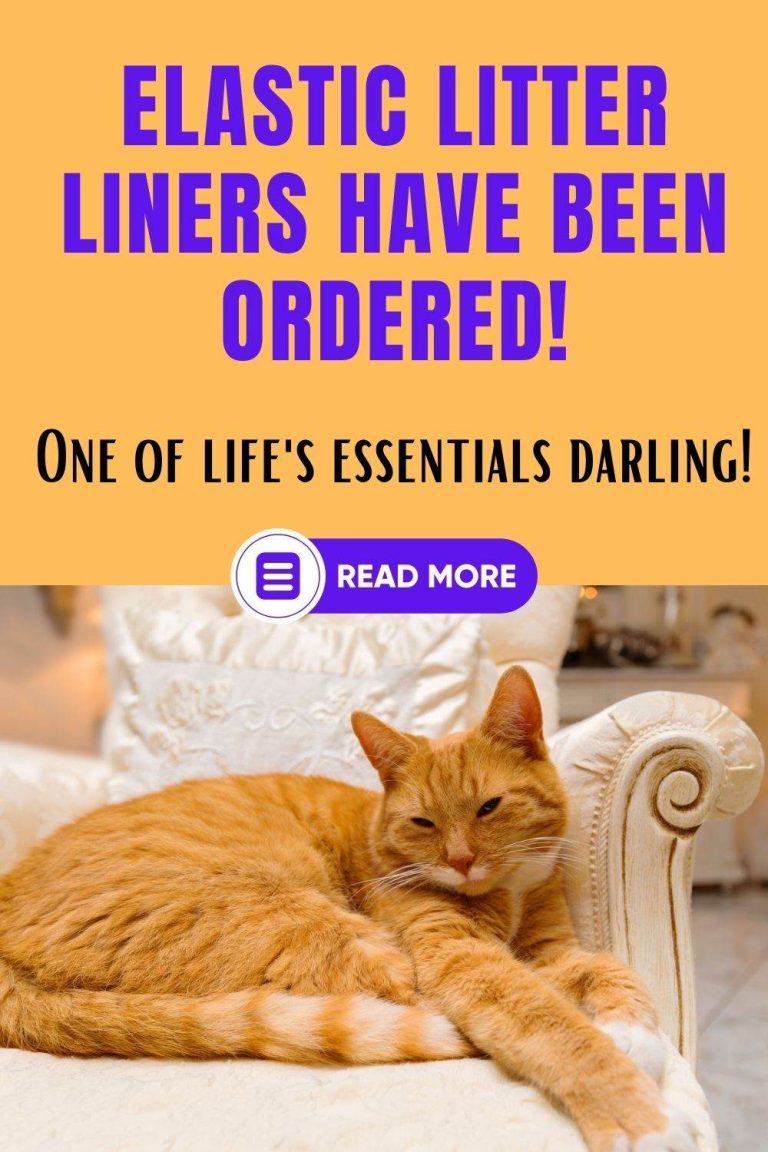 Cat Litter Box Liners With Elastic Why Are They Popular?