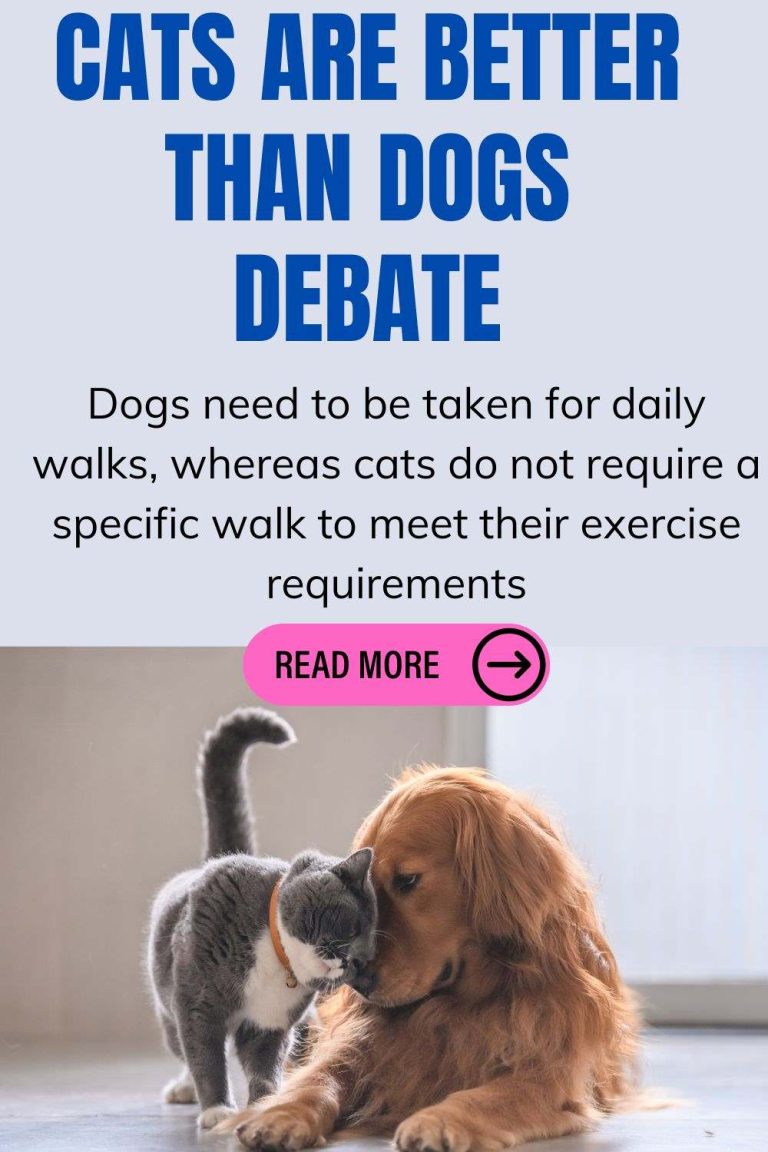 Where Do You Stand In The Cats Are Better Than Dogs Debate?