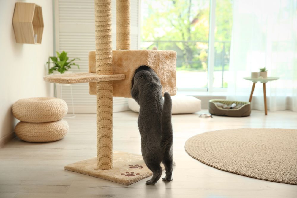 cat getting into a box on a cat tree