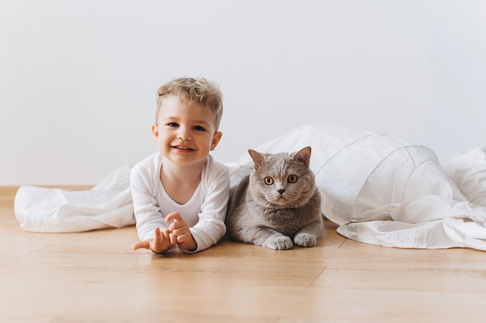 cat ownership young boy with soft grey coloured cat