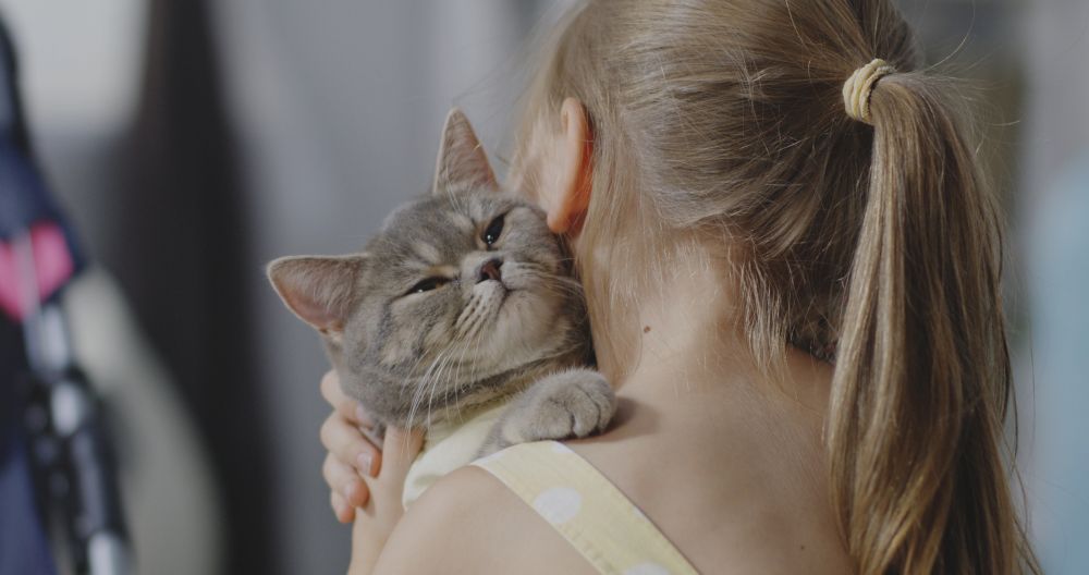 owning a cat young girl holding a kitten