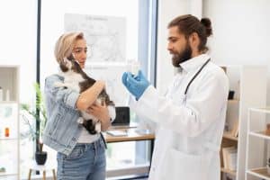 cat at the vet health check