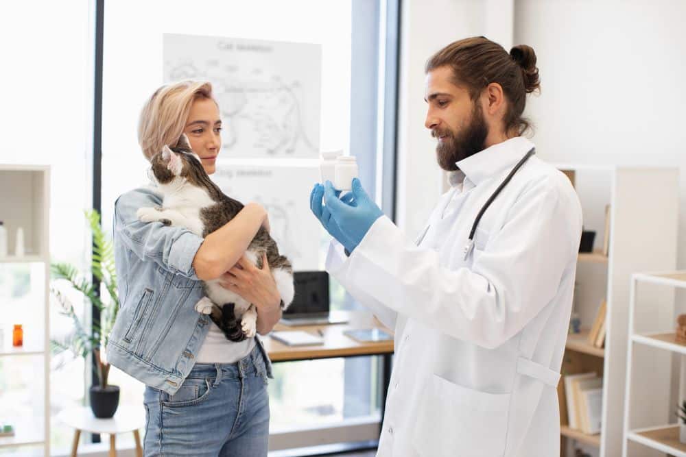 cat at the vet health check