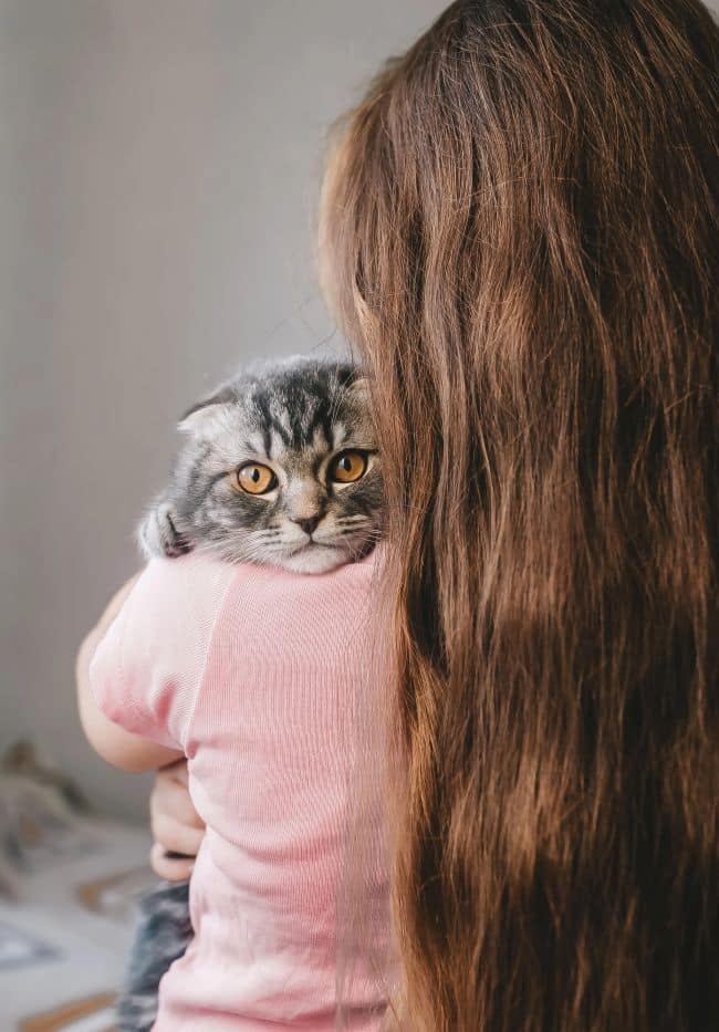 cat looking over shoulder of owner