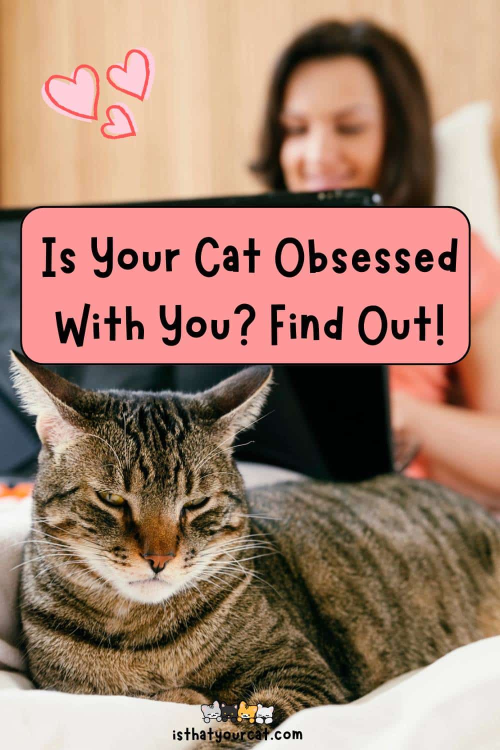 is your cat obsessed with you