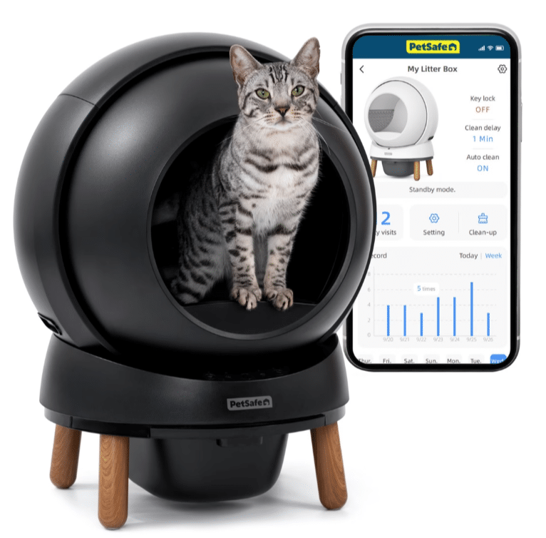 petsafe auto clean cat litter box