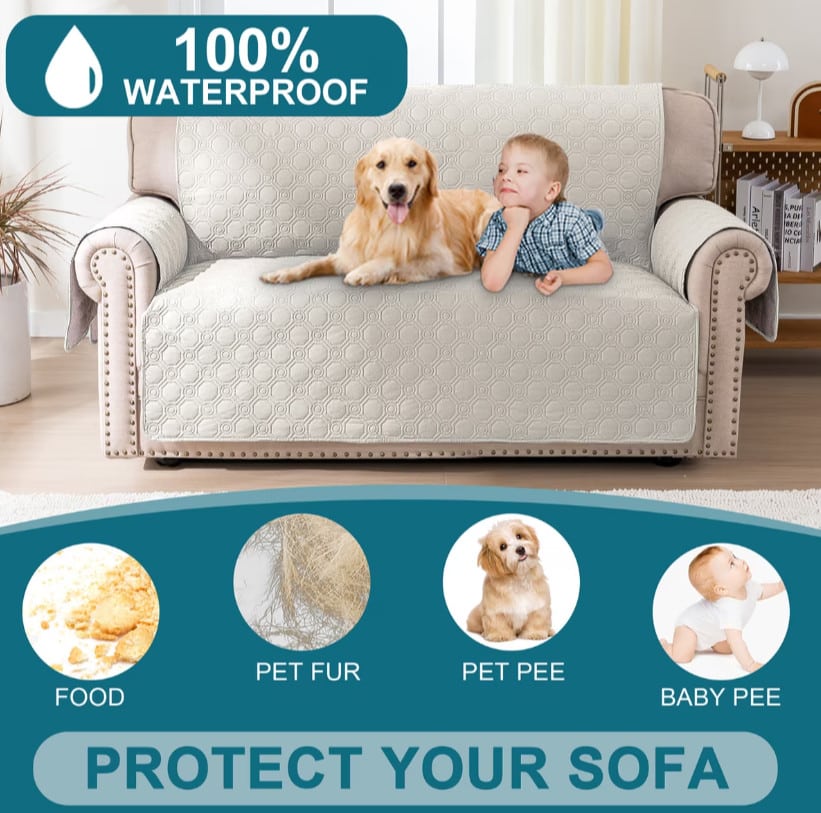 couch protector for cats