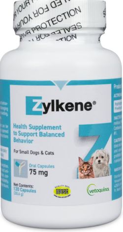 supplement for cats