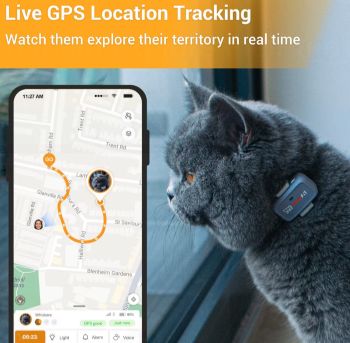 GPS location tracker for a cat