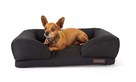 Indoor - Outdoor black cat bed