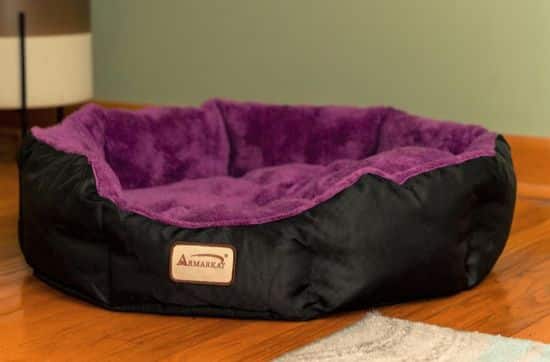 black and purple cat bed