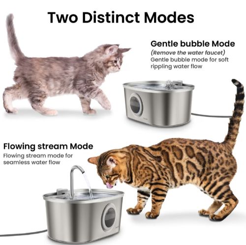 cat water fountain