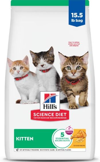 food for kittens