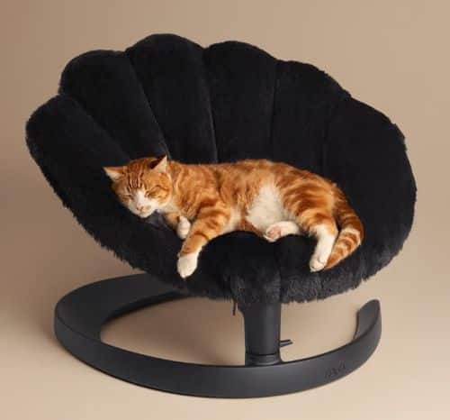 swaying black cat bed