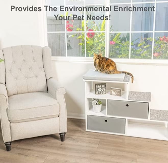 bookshelves and cat window perch for home office