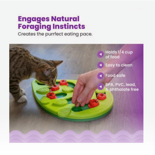 a puzzle feeder for cats