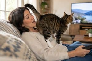 A person gently pets a relaxed cat facing away from them.