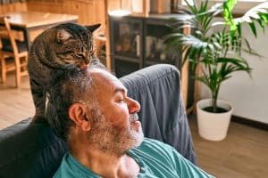 why does my cat lick me